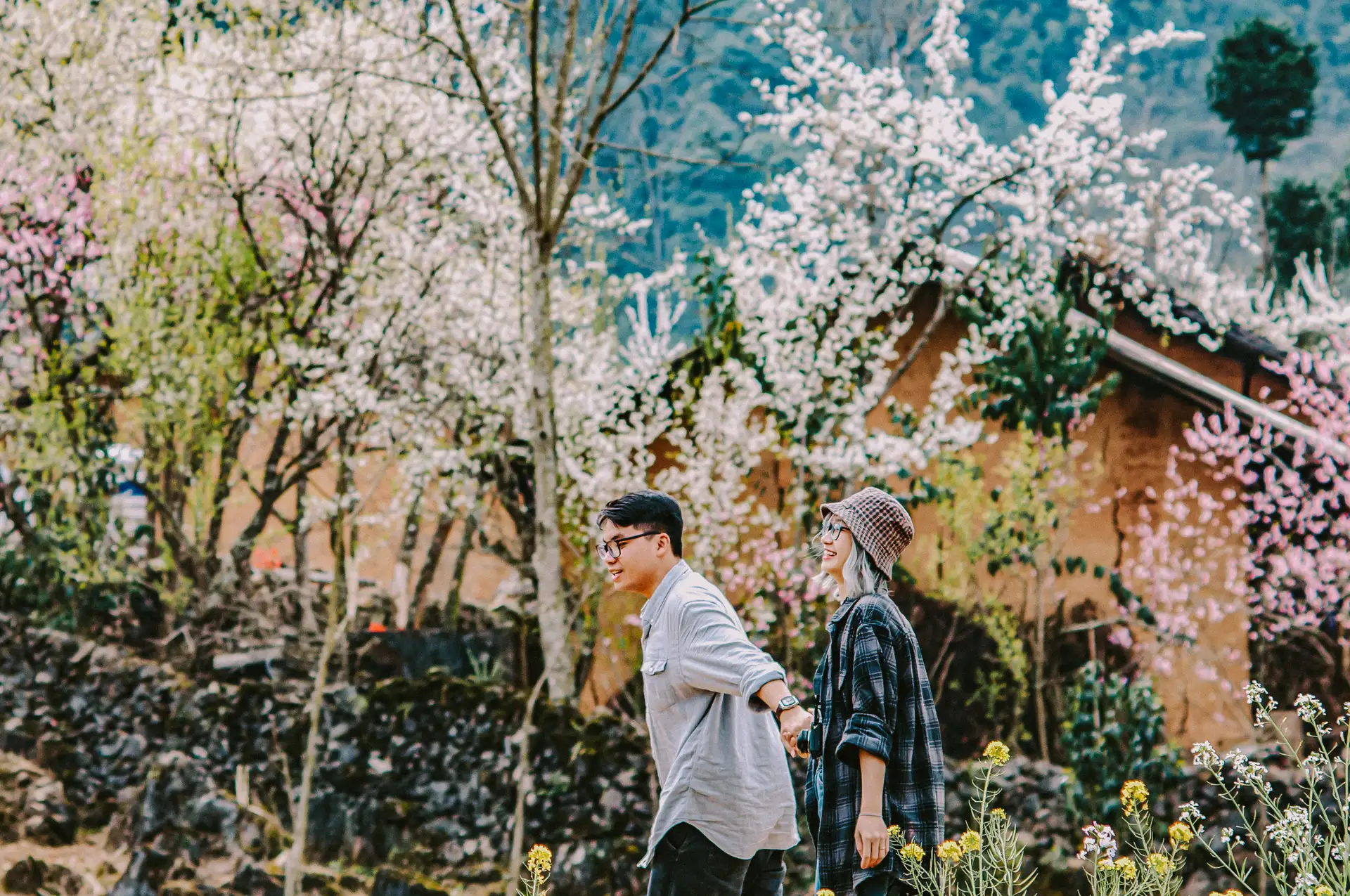 Hà Giang du lịch dịp Tết